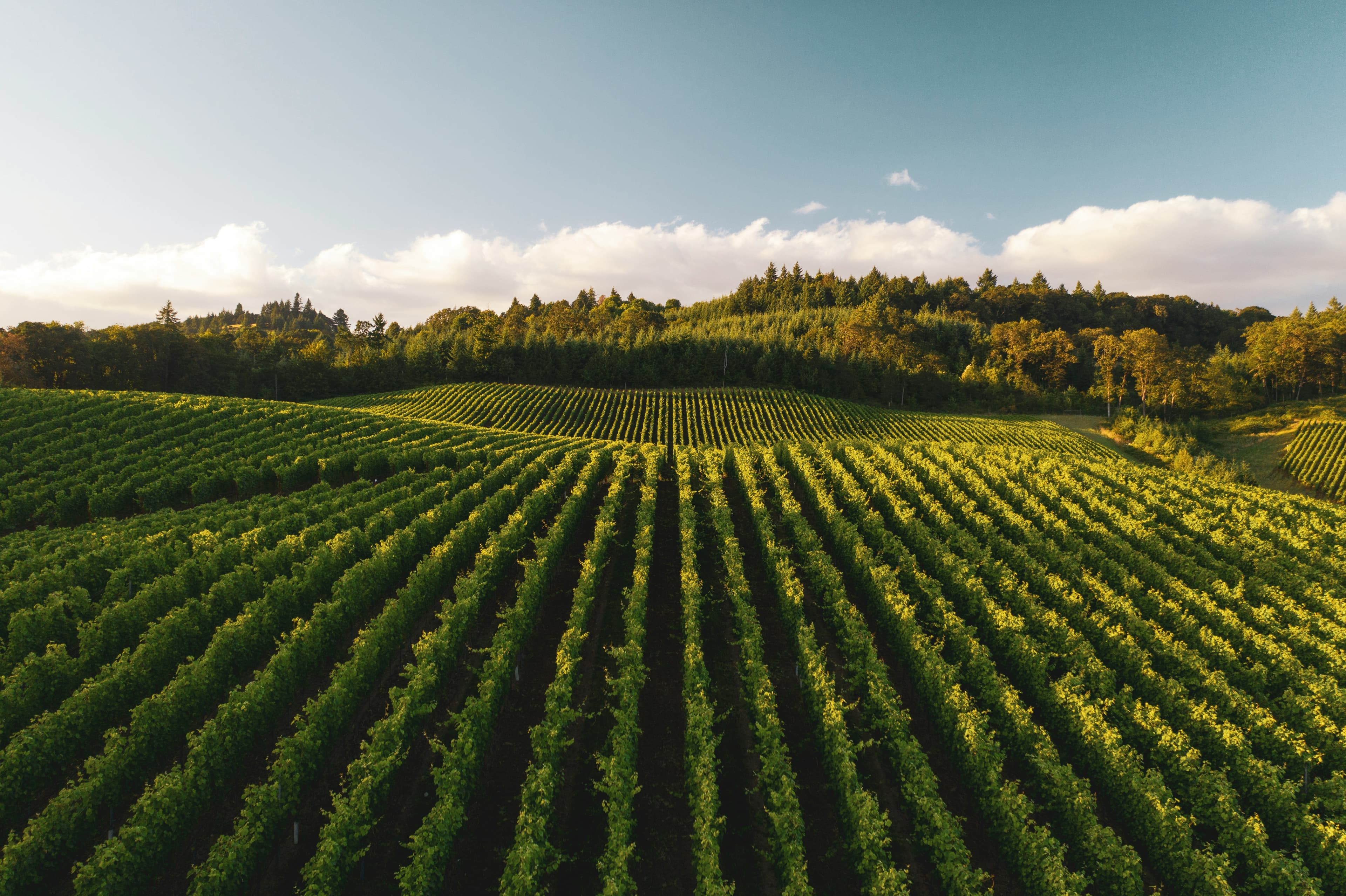 Agriculture